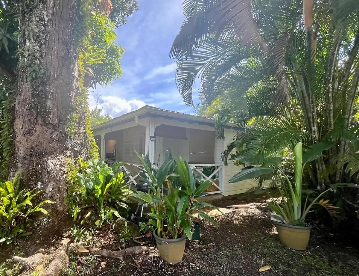 Prázdninový dům Vila Le Curacao, Kaz Dans Jardin Tropical Avec Piscine Petit-Bourg